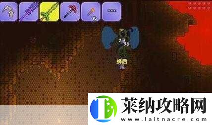 泰拉瑞亚花苞探秘
