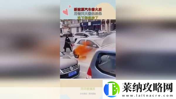 张雨欣人文艺术欣赏ppt内容