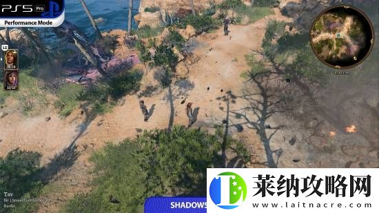 博德之门3PS5