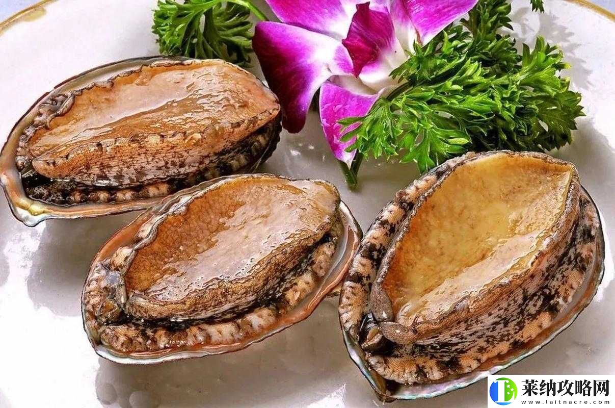 鲍鱼直播