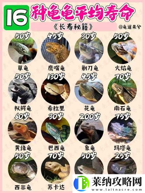 动物江湖锲子英雄传新手攻略