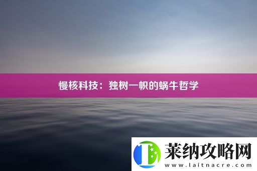 慢核科技