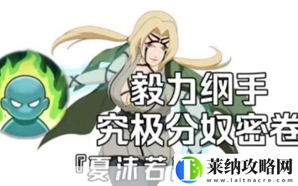 火影忍者手游秘卷获取与分类深度剖析