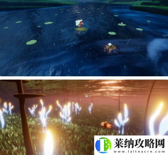 花憩节活动时间介绍2024