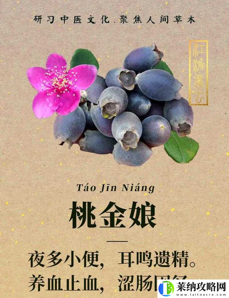 风云岛行动熊猫喂食推荐