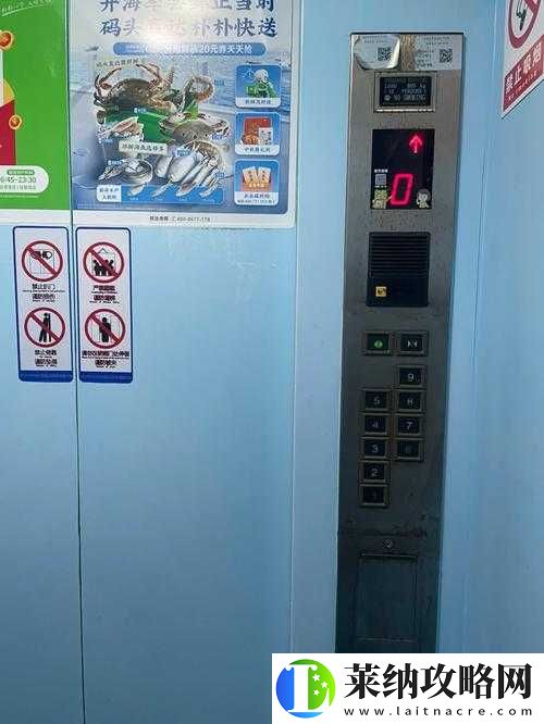 一百层电梯第二十九关过关攻略详细解读
