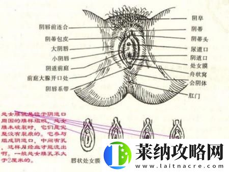 “破解”青春密码