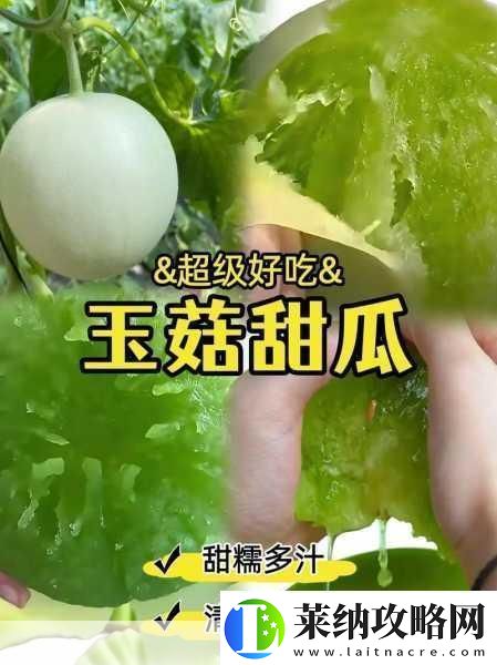 揭秘王婆卖瓜背后的真相