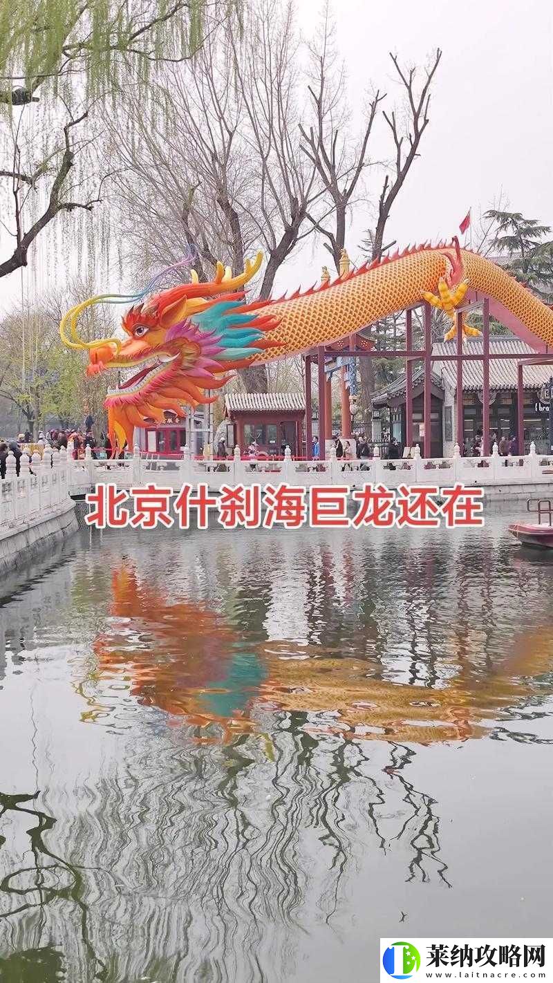 早上醒来发现巨龙还在