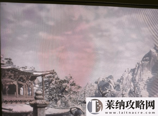 不是哥们