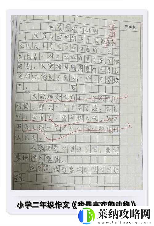 一个吃上面一面膜