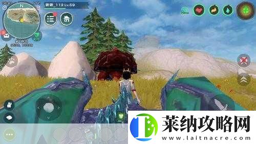 创造与魔法熔岩龟捕捉等级揭秘