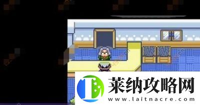 口袋妖怪漆黑魅影