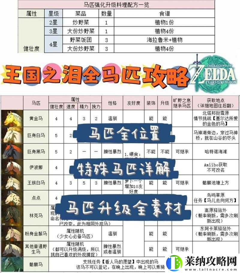 塞尔达传说王国之泪