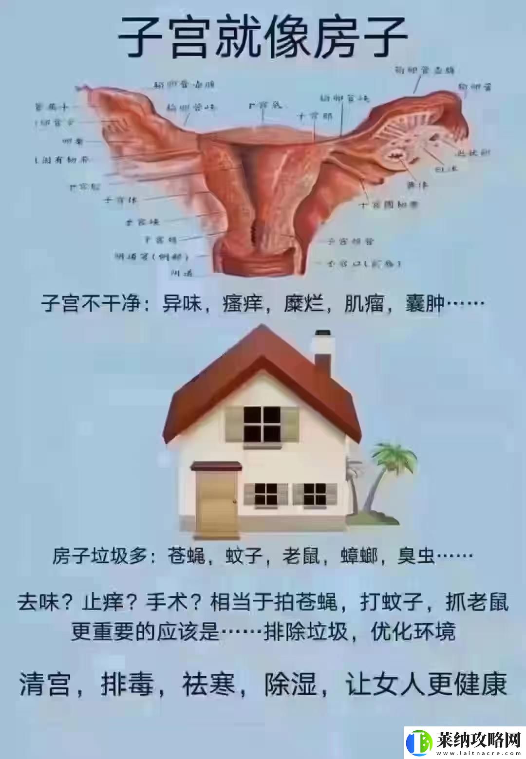 女性的秘密花园飘出银丝谜团