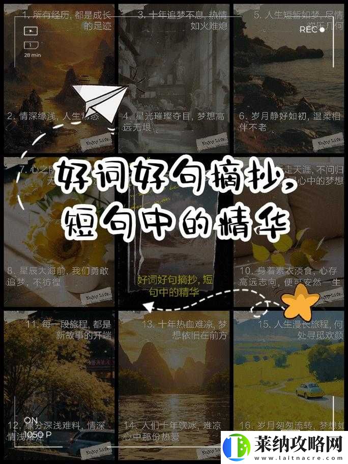 星光下的服软
