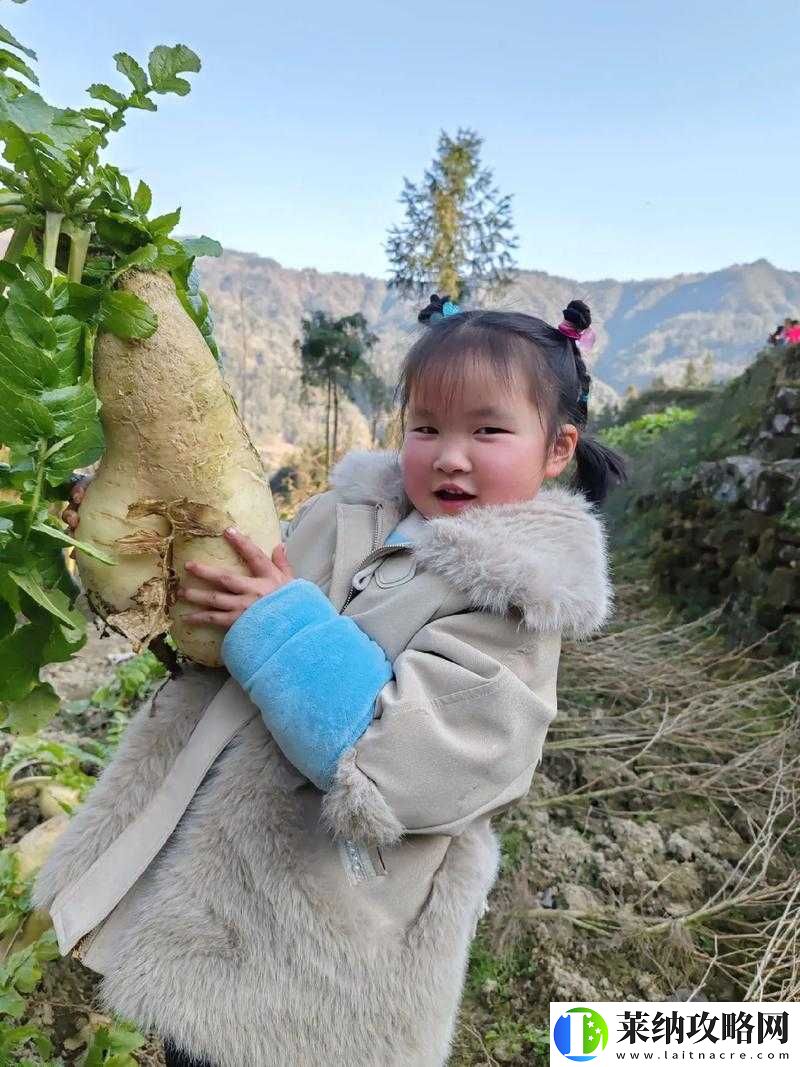 拔萝卜痛又降黄