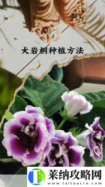 扣水的正确方法视频教程