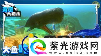 动物之斗竞技场