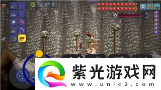 地下城堡书架的样式如何打造独特氛围