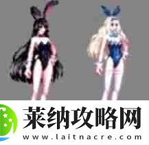 dnf兔女郎时装外观全职业2025最新一览