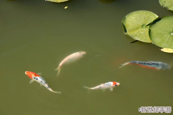 描写很细的鱼水之欢