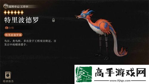 重返未来1999魔精训练手册玩法攻略详解