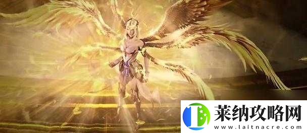 新斗罗大陆攻略之重生天使