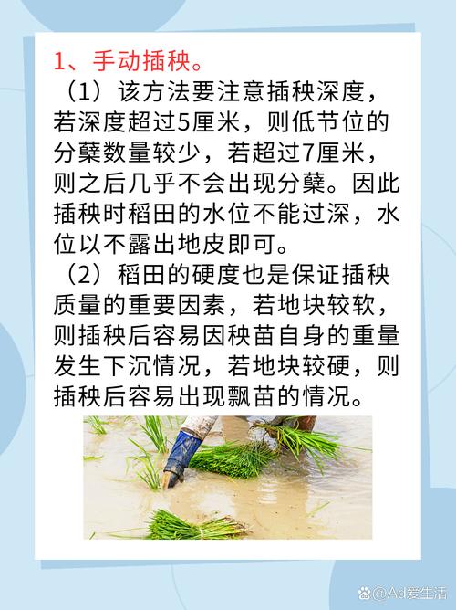 夫妻插秧的38种方法