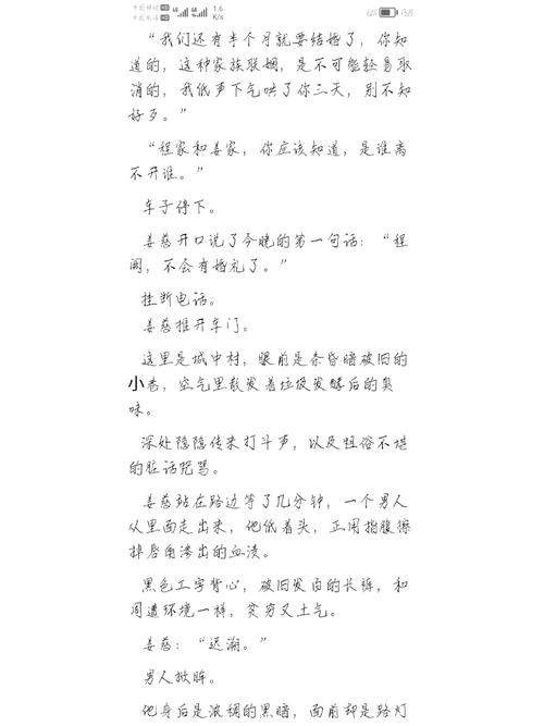 一家乱战王芳小说全文阅读