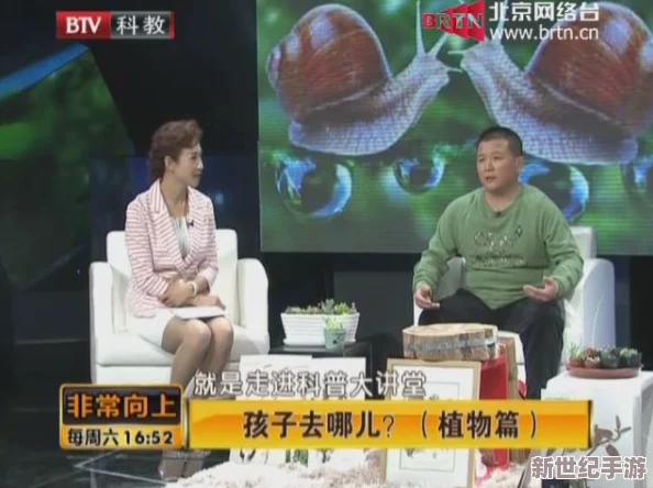 国产在线观看精品一区二区三区91