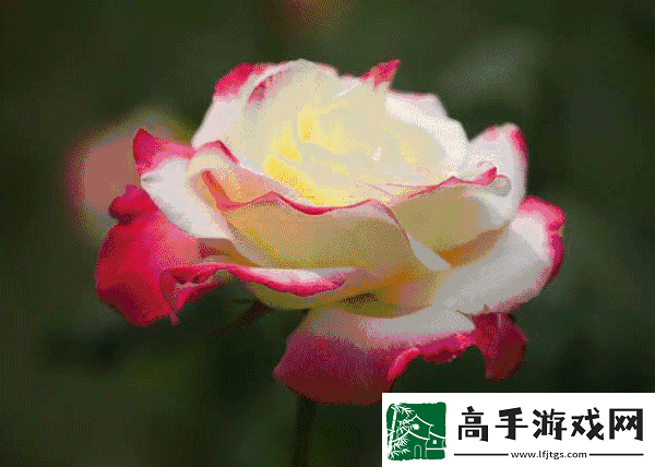 色彩变幻如梦如幻——动态色图