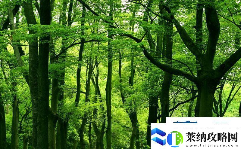 成语宫廷记第383关答案