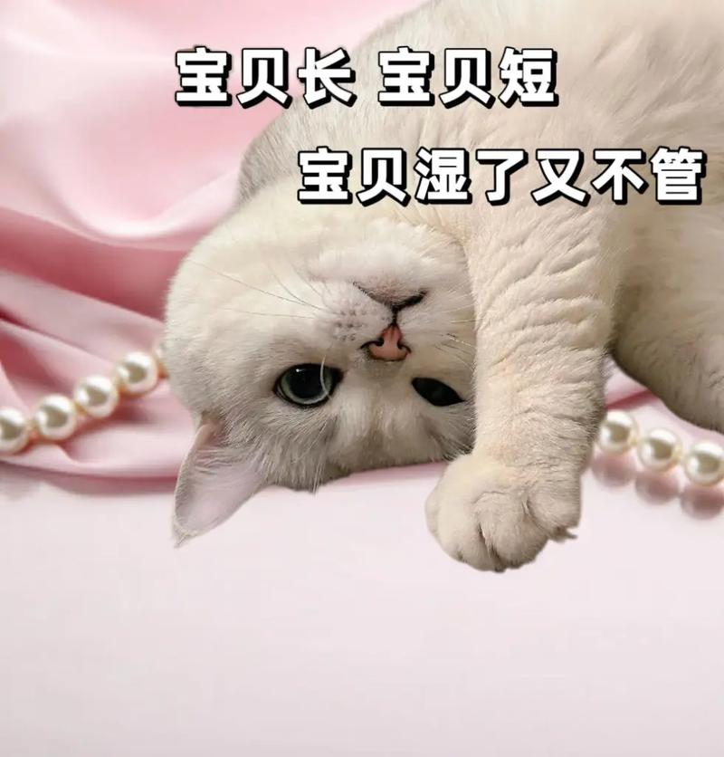 宝贝几天没C你了
