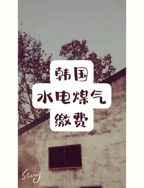 免费三色电费政策