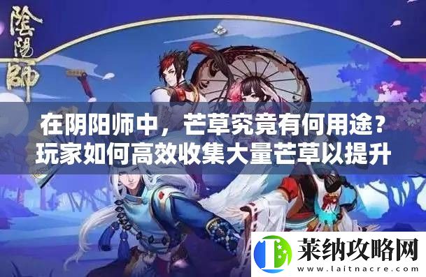 在阴阳师中