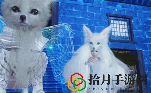 妄想山海狐狸衣服怎么获得
