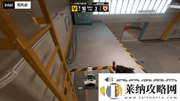 金蜂掠处千山颤！Vitality捧杯EPL