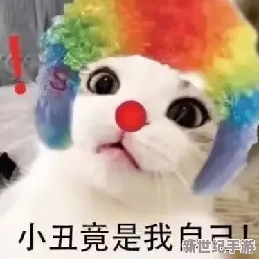 xx18美国老师怎么打扑克