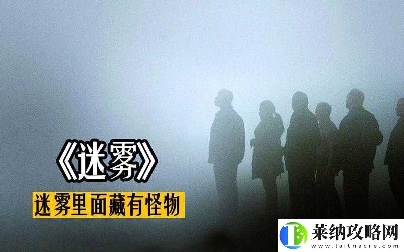 边境迷雾重重