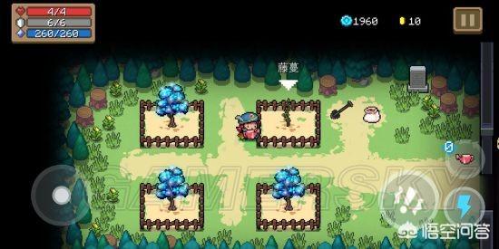 元气骑士植物作用大全(元气骑士里的植物所有作用)