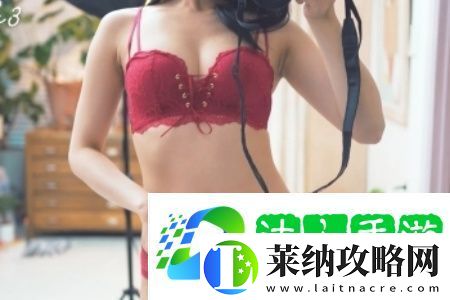 猫咪免费永久地域网名是什么