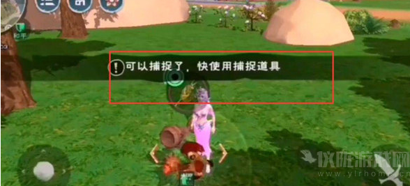 创造与魔法鸡怎么生产(鸡生产方法及捕捉位置详解)
