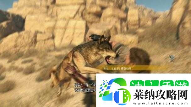 合金装备5幻痛第7关全S挑战如何完美通关