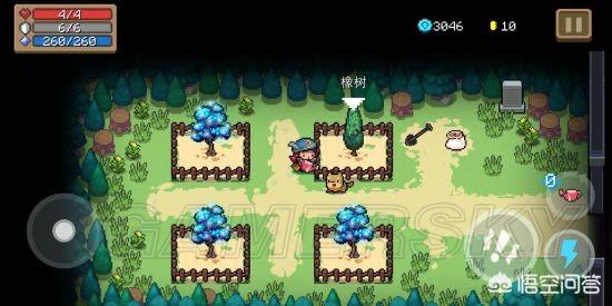 元气骑士植物作用大全(元气骑士里的植物所有作用)