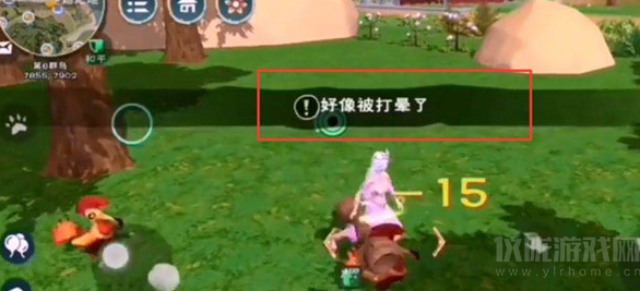 创造与魔法鸡怎么生产(鸡生产方法及捕捉位置详解)