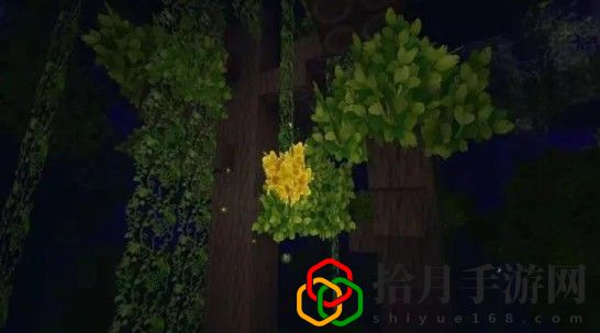 迷你世界雨林版本什么时候更新