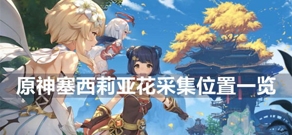 塞西莉亚花采集路线 副本挑战评分机制与高分技巧