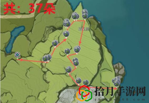 塞西莉亚花采集路线 副本挑战评分机制与高分技巧