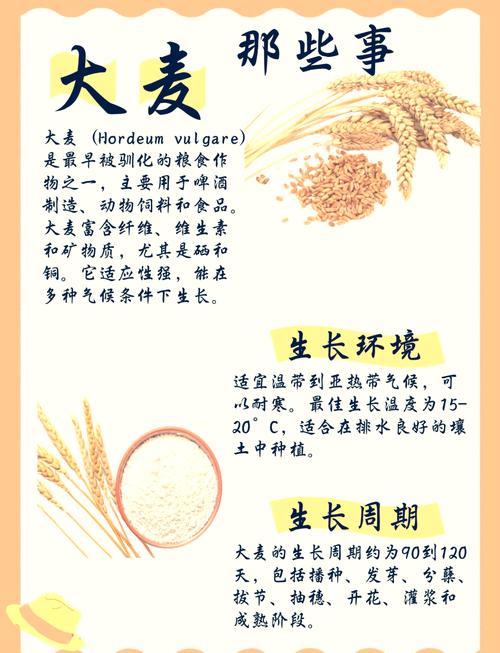 麦子互换背后的意义